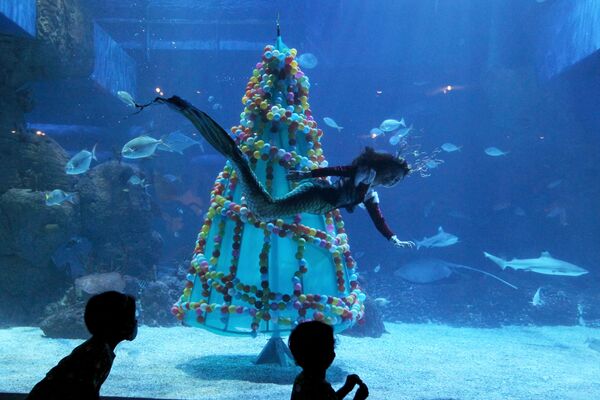 Дайвер проплывает мимо рождественской елки в аквариуме Джакарты - Sputnik Абхазия