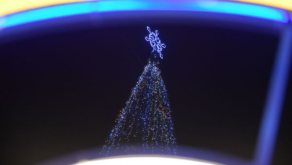 Новогоднее настроение в г. Сухум - Sputnik Абхазия
