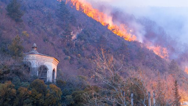 Лесные пожары в Гагре - Sputnik Абхазия