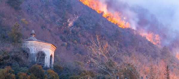 Лесные пожары в Гагре - Sputnik Абхазия