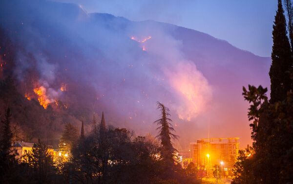 Лесные пожары в Гагре - Sputnik Абхазия