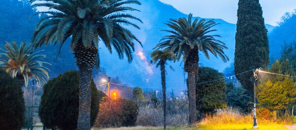 Лесные пожары в Гагре - Sputnik Абхазия