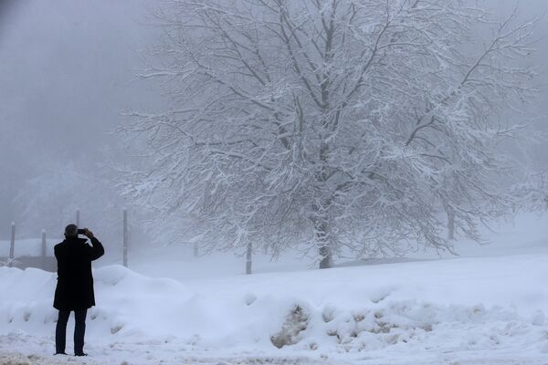 Мужчина наслаждается снежным деревом на Корсике. - Sputnik Абхазия