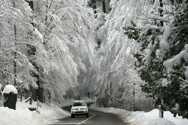 Автомобиль проезжает под покрытыми снегом деревьями на Корсике. - Sputnik Абхазия