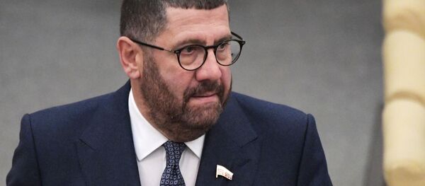 Пленарное заседание Госдумы РФ   Пленарное заседание Госдумы РФ   - Sputnik Абхазия