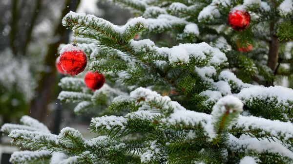 Первый снег в столице Абхазии - Sputnik Абхазия