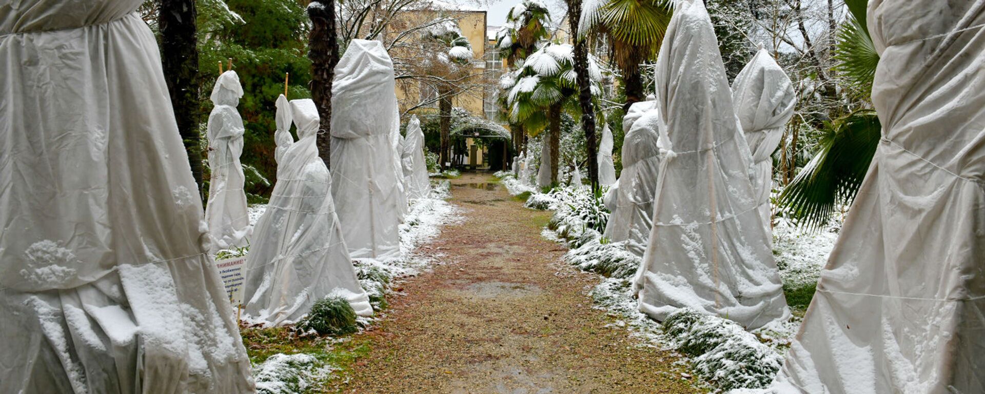 Первый снег в столице Абхазии - Sputnik Абхазия, 1920, 31.12.2025