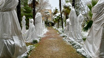 Первый снег в столице Абхазии