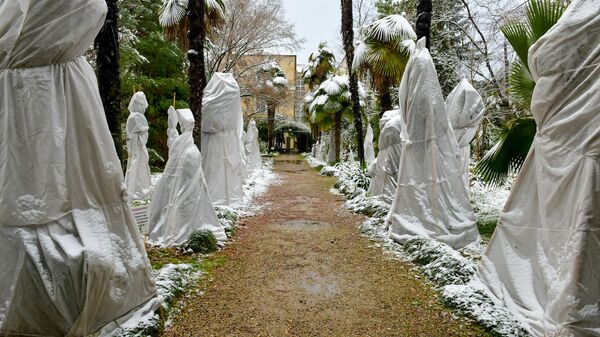 Первый снег в столице Абхазии - Sputnik Абхазия