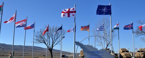 Военнослужащий проверяет флаги перед церемонией встречи сенатора США Джона Маккейна в Совместном учебно-оценочном центре НАТО-Грузия в Крцаниси, недалеко от Тбилиси Военнослужащий проверяет флаги перед церемонией встречи сенатора США Джона Маккейна в Совместном учебно-оценочном центре НАТО-Грузия в Крцаниси, недалеко от Тбилиси - Sputnik Абхазия