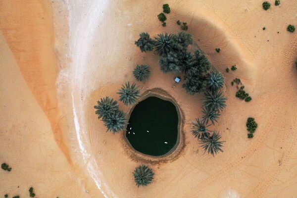 Оазис в пустыне на курорте Телал Аль-Айн, ОАЭ - Sputnik Абхазия
