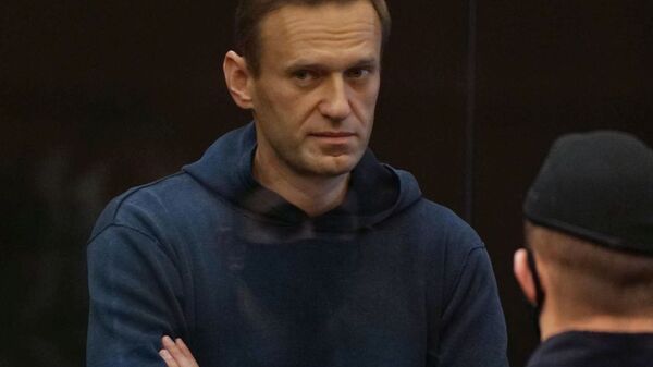 Заседание суда по делу А. Навального - Sputnik Абхазия