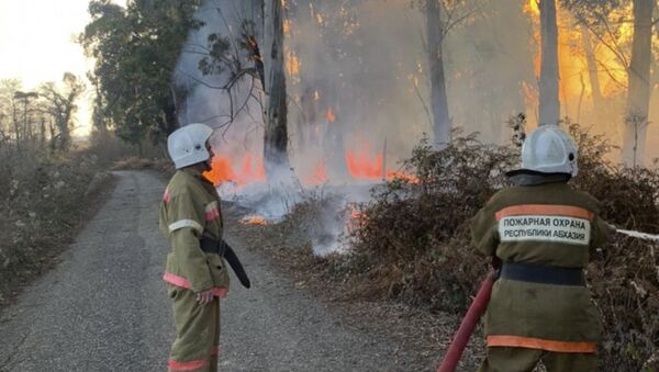 Ликвидация пожара в Очамчырском районе  - Sputnik Абхазия