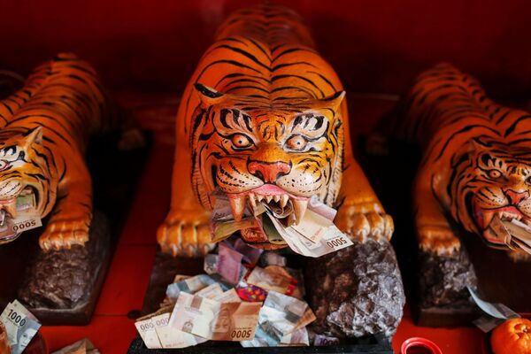 Банкноты у скульптур тигров в храме Дхарма Бхакти во время празднования Нового года по лунному календарю в Джакарте, Индонезия - Sputnik Абхазия