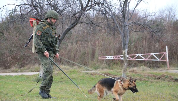 Российские военные ЮВО в Абхазии приступили к тренировкам караульных и минно – розыскных собак - Sputnik Абхазия