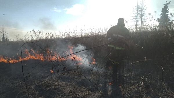 Cотрудники ПСЧ по охране Очамчырского района ликвидировали природные пожары в селах Мыку - Sputnik Абхазия