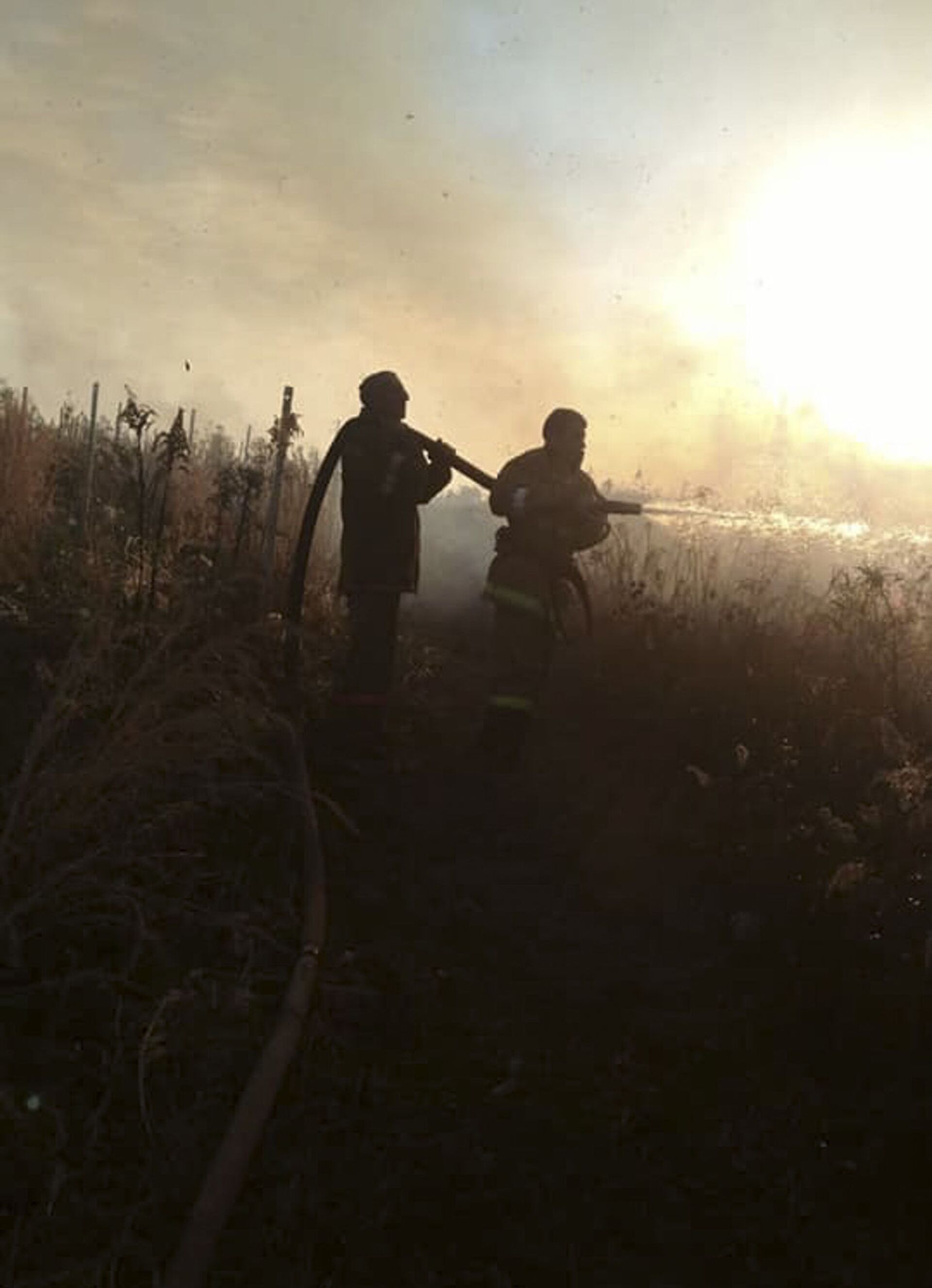 Около 60 гектаров природных пожаров потушено в Очамчырском районе - Sputnik Абхазия, 1920, 13.02.2021