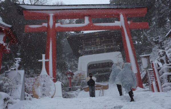 Последствия сильнейшего за 13 лет снегопада в Токио, февраль 2014 года - Sputnik Абхазия