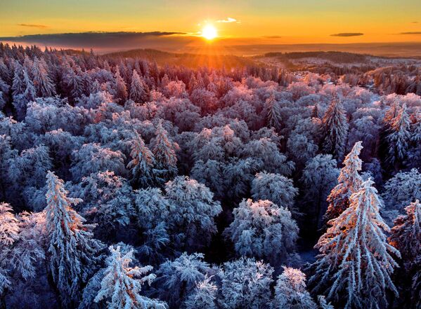 Заснеженный лес недалеко от Франкфурта, Германия - Sputnik Абхазия