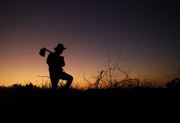 Силуэт палестинского фермера с топором на фоне заката к востоку от города Газа  - Sputnik Абхазия
