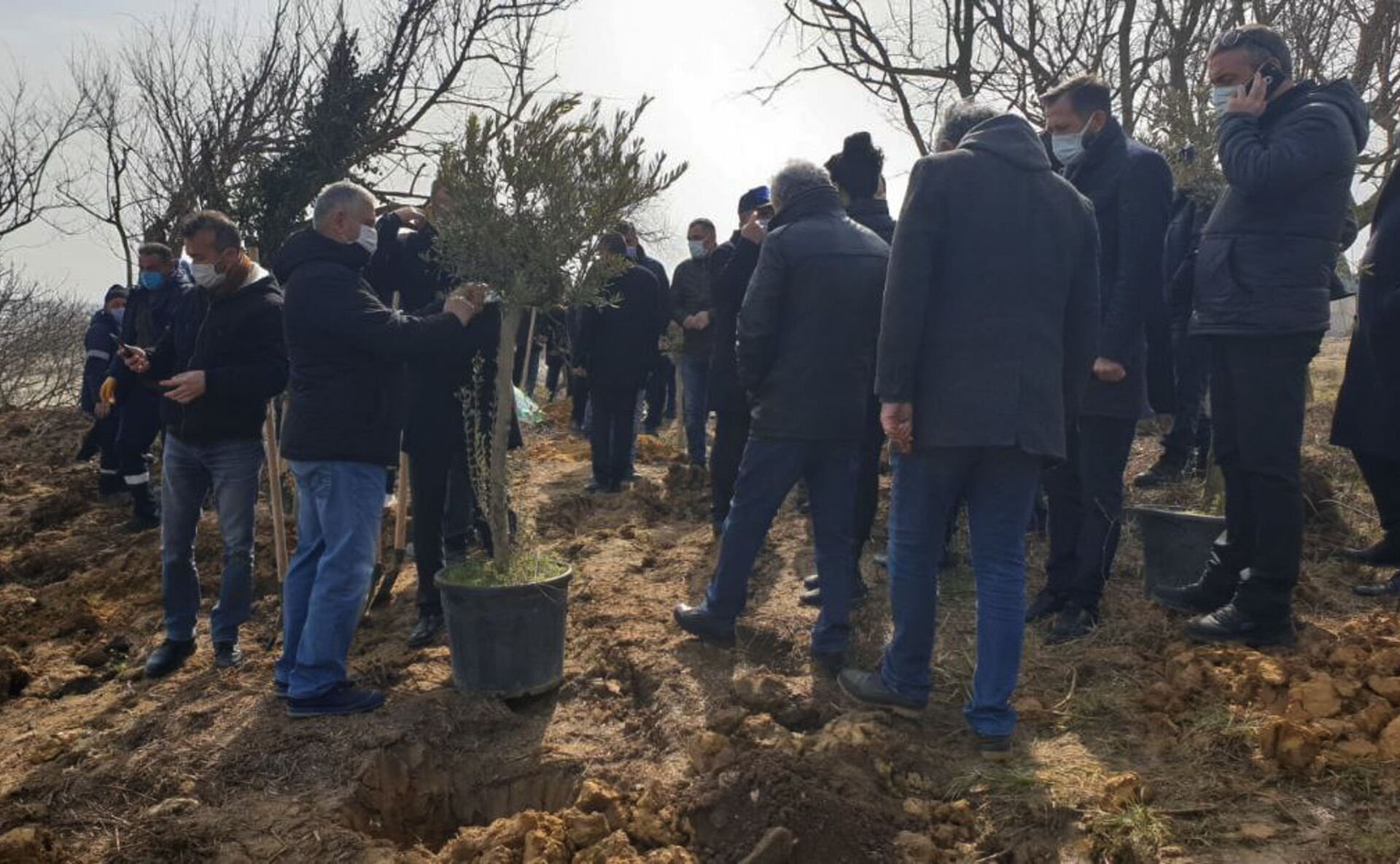 В память об изгнанных: оливковую рощу заложили в турецком городе Коджаэли - Sputnik Абхазия, 1920, 10.03.2021