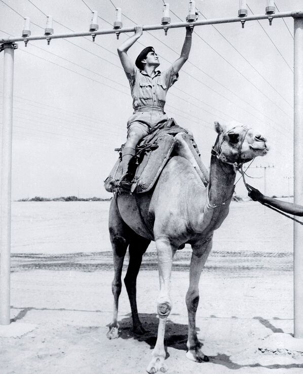 Проверяющий телефонную линию солдат на верблюде недалеко от Адена, 1962 год  - Sputnik Абхазия