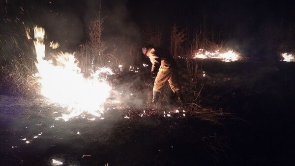 Ликвидация пожара  - Sputnik Абхазия