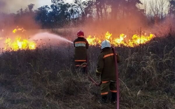 Пожары в Очамчырском районе  - Sputnik Абхазия