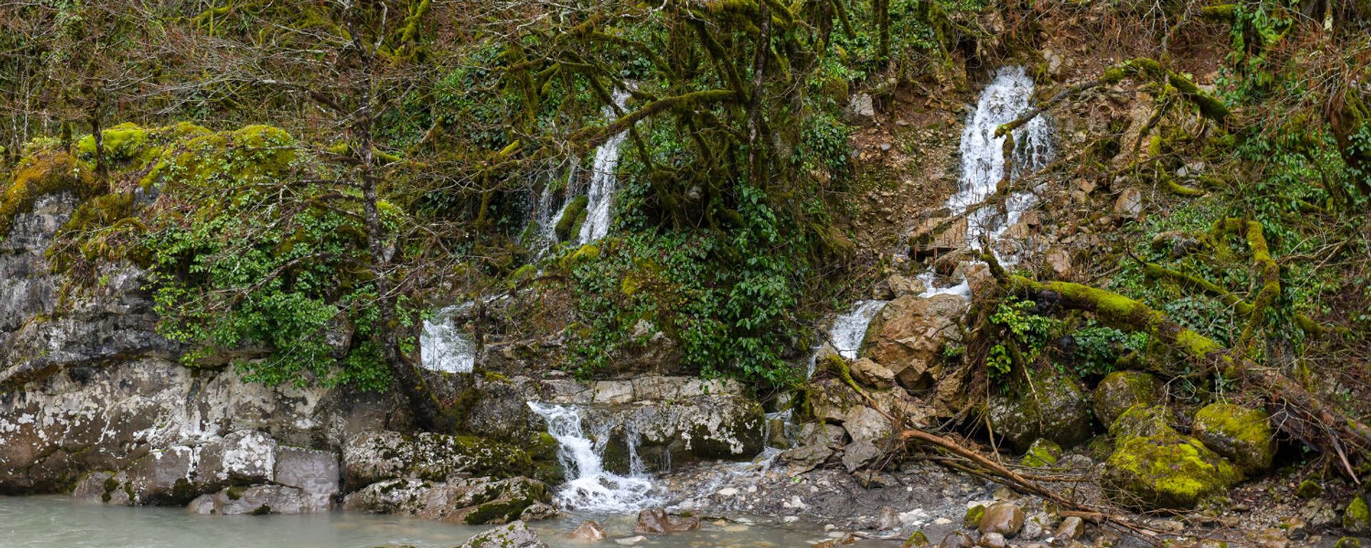 Рицинский нацпарк  - Sputnik Абхазия, 1920, 24.03.2026
