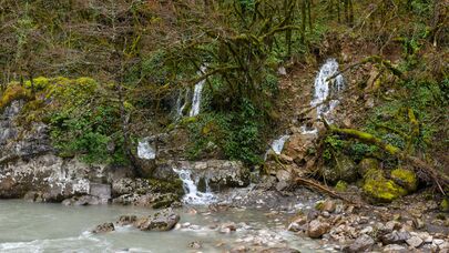 Рицинский нацпарк 