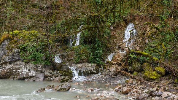 Рицинский нацпарк  - Sputnik Абхазия