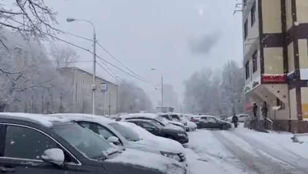 Апрельская шутка: на Москву обрушился снегопад - Sputnik Абхазия
