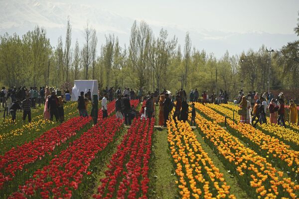 Люди гуляют во время открытия фестиваля тюльпанов в саду тюльпанов в Шринагаре - Sputnik Абхазия