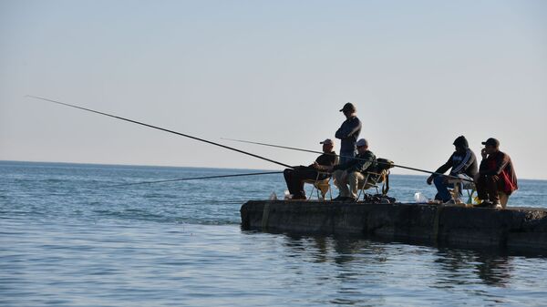 Рыбаки на причале  - Sputnik Абхазия