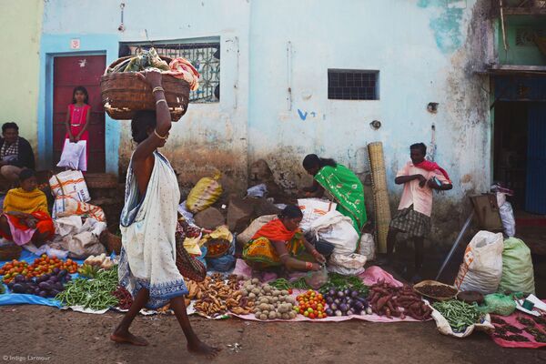 Снимок Odisha Tribal Markets индийского фотографа Indigo Larmour, победивший в категории Young - 11 - 14 конкурса 2021 Pink Lady® Food Photographer of the Year - Sputnik Абхазия