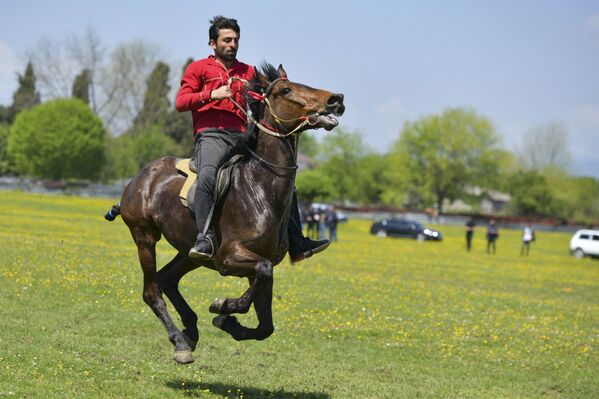 Наездники выступали на лошадях, рожденных в Абхазии и чистокровных скакунах.  - Sputnik Абхазия