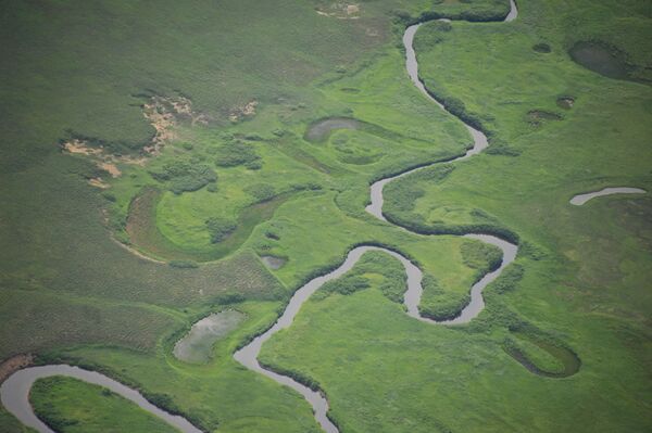 Вид на одну из рек в Кроноцком государственном природном биосферном заповеднике на Камчатке. - Sputnik Абхазия
