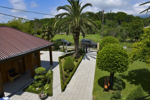 Центральное место во дворе занимает слоновая пальма, которую посадила свекровь Эльмиры около 50 лет назад. - Sputnik Абхазия