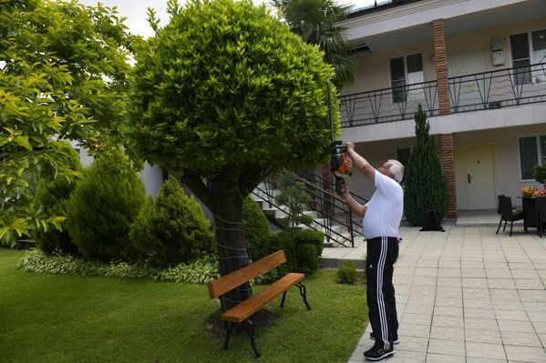 Глава семейства Роман Шарматава проводит обрезку деревьев бензопилой. - Sputnik Абхазия