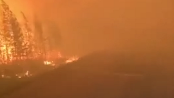 Лесные пожары в Якутии - Sputnik Абхазия