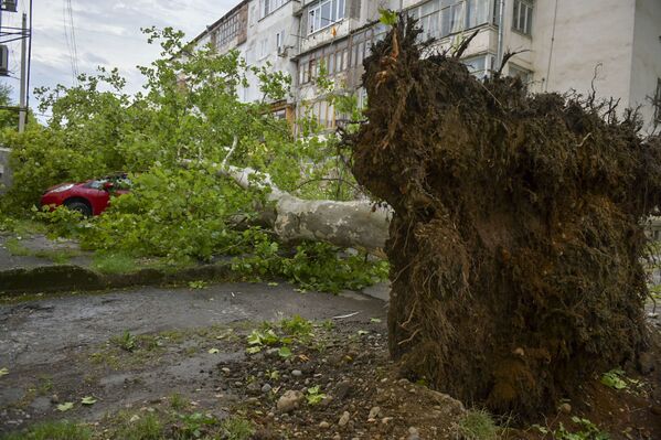 Прошлым  летом Абхазия оказалась под натиском стихии несколько раз. Ураганный  ветер и наводнения нанесли ущерб инфраструктуре, бизнесу, частному сектору во всех районах республики. - Sputnik Абхазия