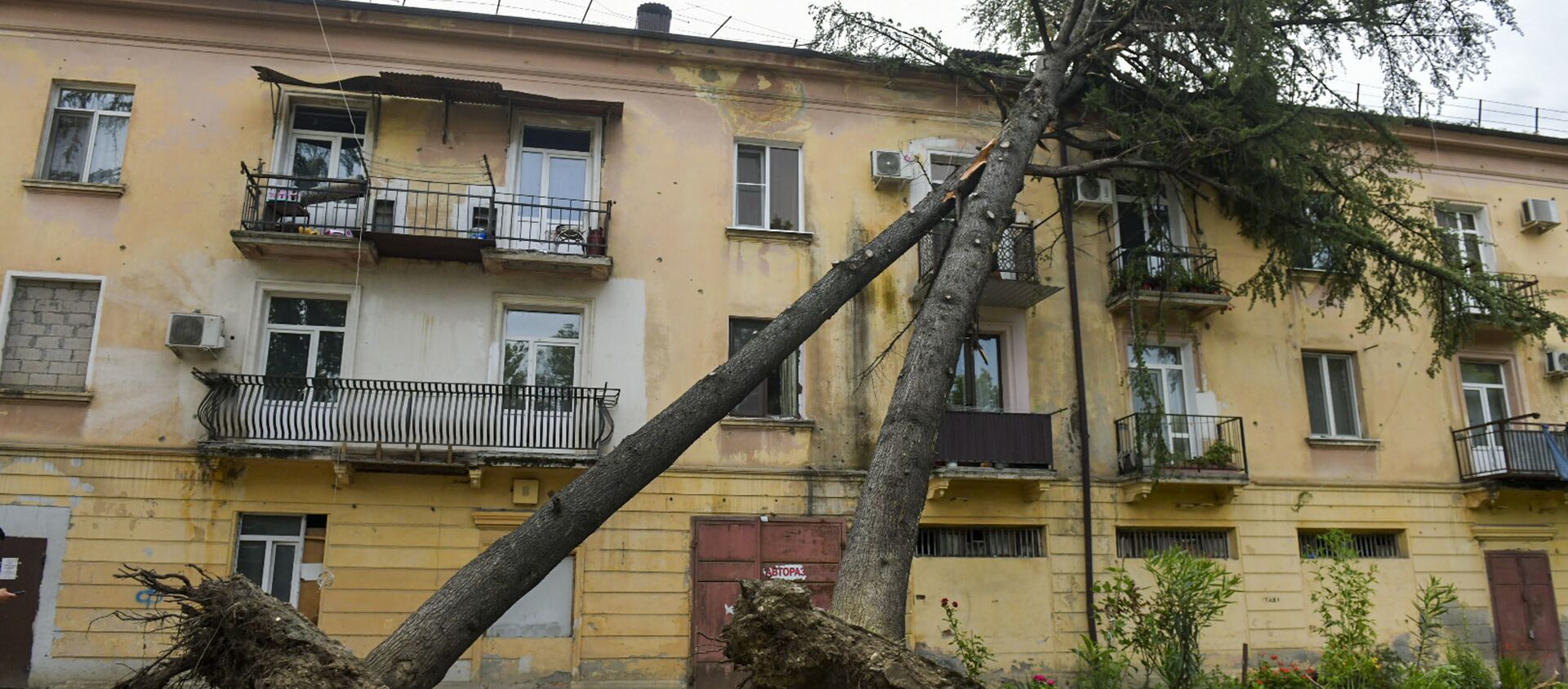 Сильный ветер в Сухуме повалил деревья  - Sputnik Абхазия, 1920, 09.07.2021