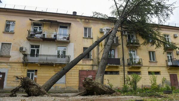 Сильный ветер в Сухуме повалил деревья  - Sputnik Абхазия