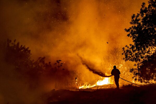 Пожарный борется с пламенем в лесу на склонах горной цепи Троодос, в то время как гигантский пожар бушует на Кипре. - Sputnik Абхазия