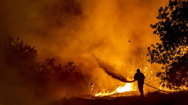 Пожарный борется с пламенем в лесу на склонах горной цепи Троодос, в то время как гигантский пожар бушует на Кипре - Sputnik Абхазия
