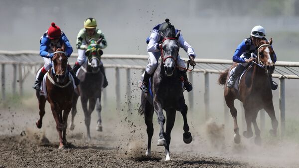 Открытие скакового сезона в Краснодаре - Sputnik Абхазия