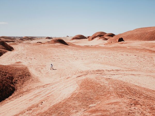 Снимок A Walk on Mars фотографа из Китая Dan Liu, занявший 1-е место в номинации Photographer of the Year конкурса IPPAWARDS 2021 - Sputnik Абхазия