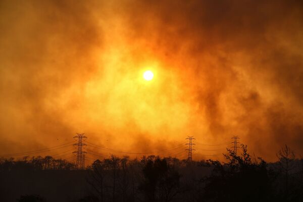 Дым над лесом вокруг Манавгата. - Sputnik Абхазия