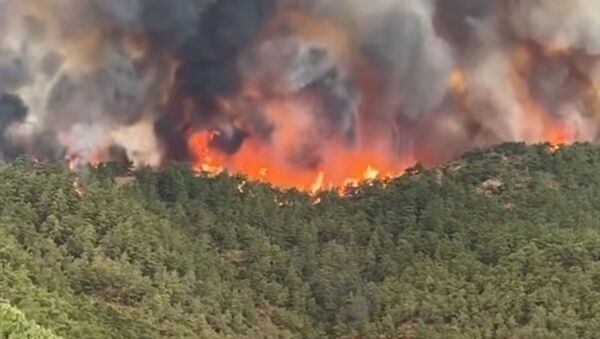 Лесные пожары на юге Турции - Sputnik Абхазия