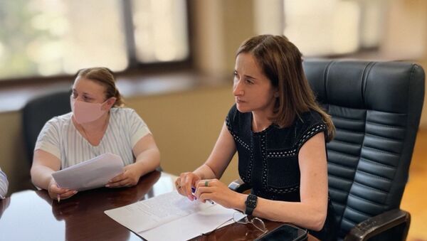 Вице-премьер, министр экономики Кристина Озган провела совещание с представителями бизнеса в сфере продажи топлива. - Sputnik Аҧсны